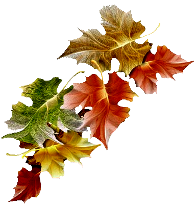 سكرابز اوراق الشجر في الخريف ، اوراق شجر خريف للتصميم بدون تحميل