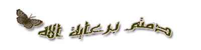 مجموعة من المذكرات في ملف واحد وبمختلف الصيغpdf و word 12871115943