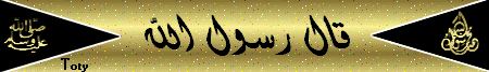 مكتبة الإمام الذهبي رحمه الله 3dlat.com_139591524913